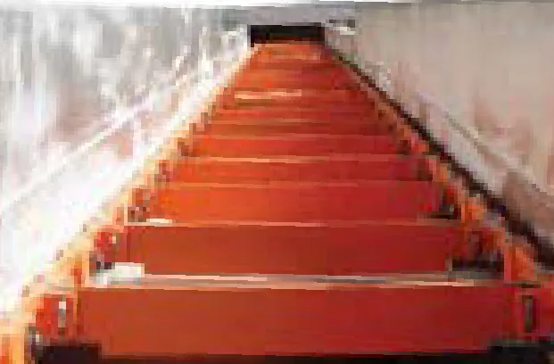 Chain Conveyor